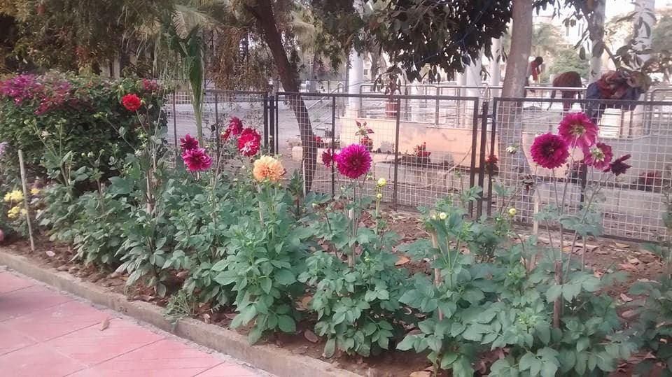 Chhattisgarh Dental College and Research Institute Rajnandgaon campus photo 5